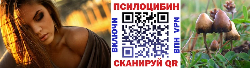 купить   OMG рабочий сайт  Галлюциногенные грибы мицелий  Галич 